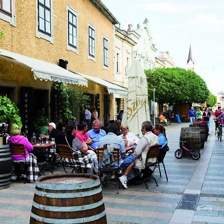 Nyaraló In - Balaton 18989 *